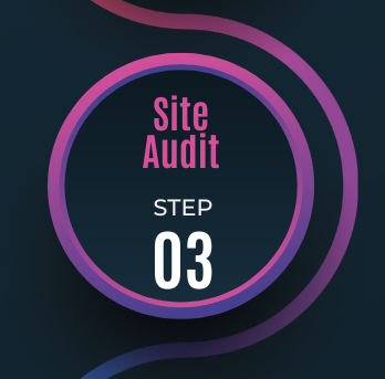 Step 3: Site Audit