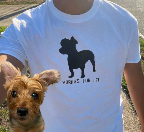 Man modeling a white t-shirt with the Yorkie graphic print design